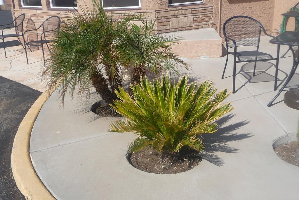 Palms Inn Gila Bend Dış mekan fotoğraf